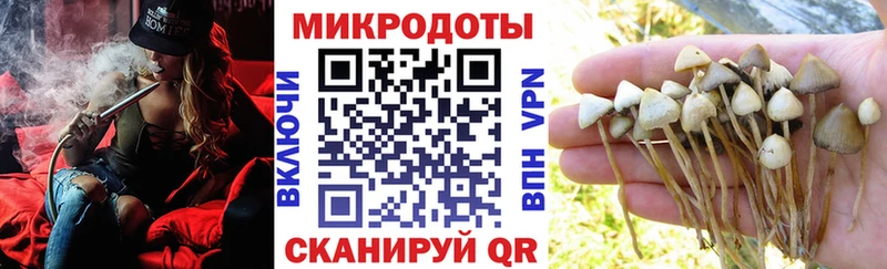 kraken как войти  Гай  Галлюциногенные грибы MAGIC MUSHROOMS  продажа наркотиков 