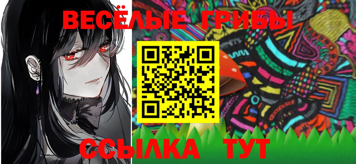 Псилоцибиновые грибы GOLDEN TEACHER Гай