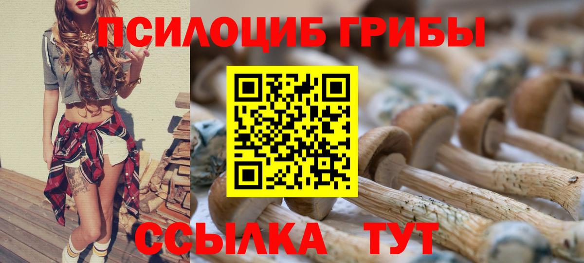 купить   Галлюциногенные грибы прущие грибы  Вход с VPN  Гай 